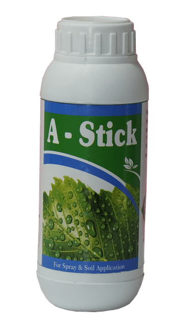 A Stick