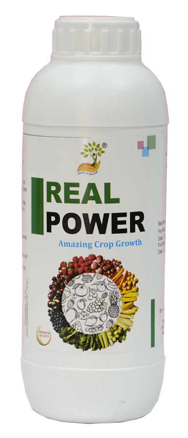 Real Power
