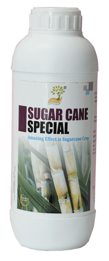 Sugarcane Special