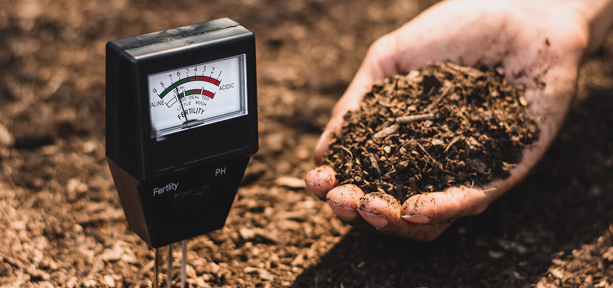 Soil testing & analysis