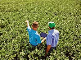 Agricultural consultation