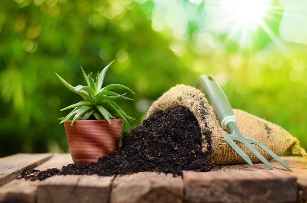 Organic & chemical fertilizers