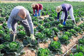 Sustainable farming practices
