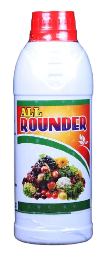 All Rounder 